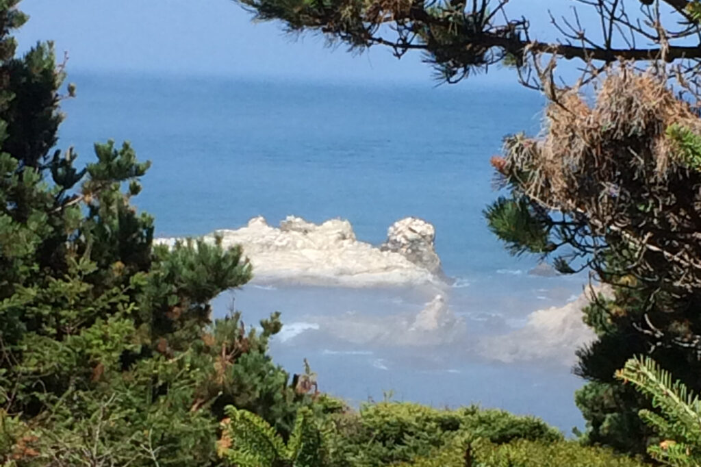 Ocean View through Trees